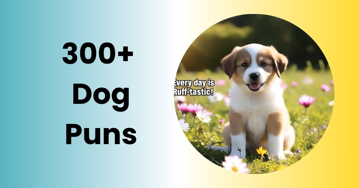 Dog Puns