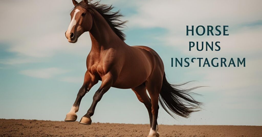 Horse Puns For Instagram
