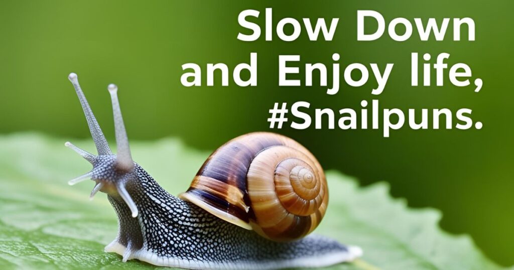 Snail Puns For Instagram
