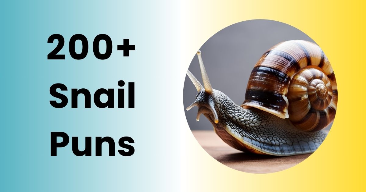 snail puns