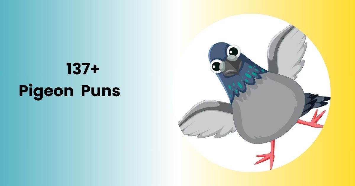 137+ Feathered Pigeon Puns 2025