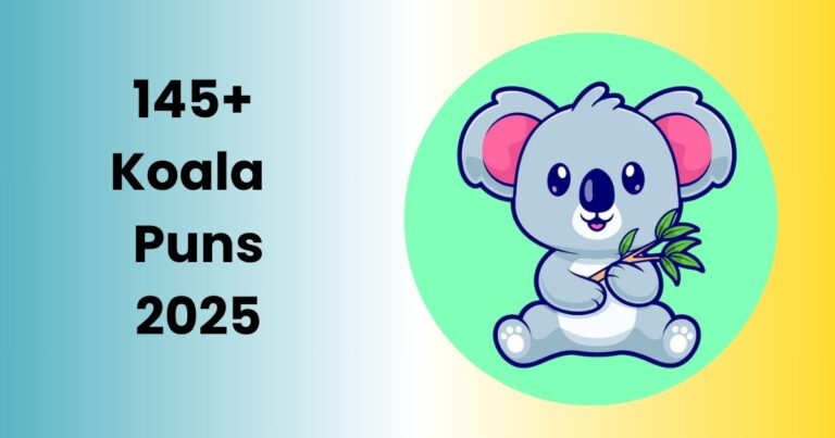 145+ Koala Puns 2025 That Are Koalaty Entertainment!