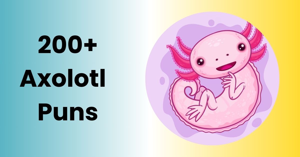 200+ Axolotl Puns 2025