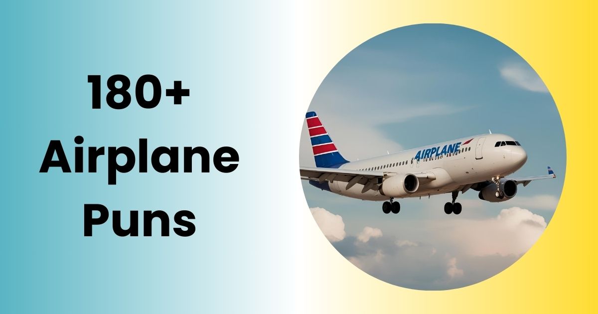 Airplane Puns