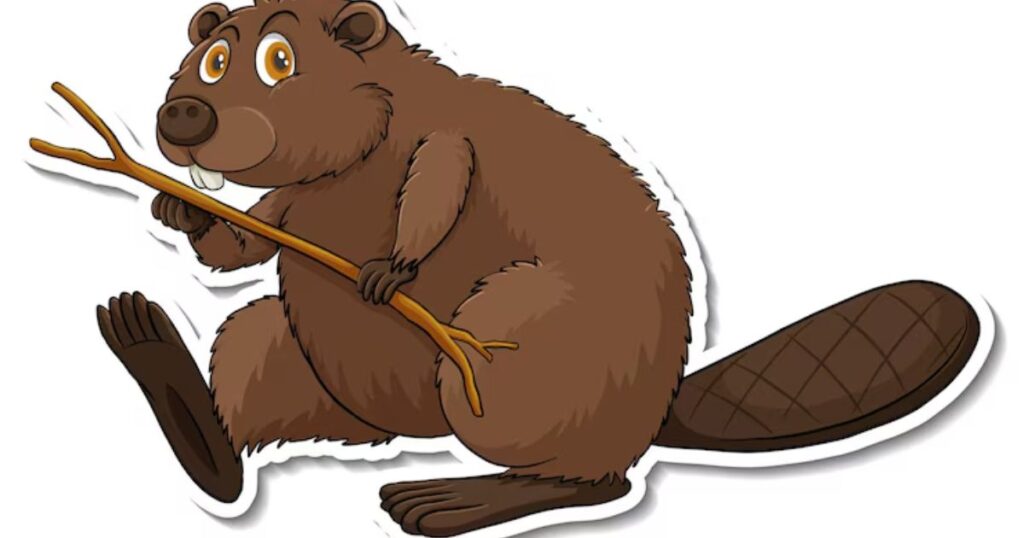 Beaver Puns The Best One-Liner Dam Good Time