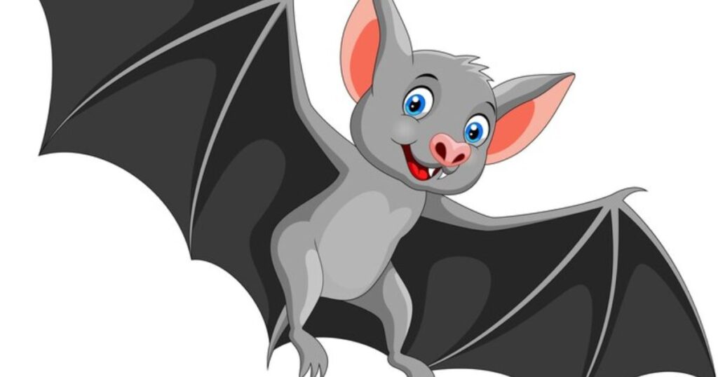Cute Bat Puns