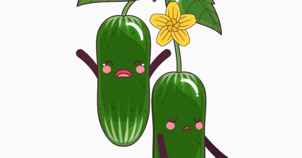 Funny cucumber puns and jokes