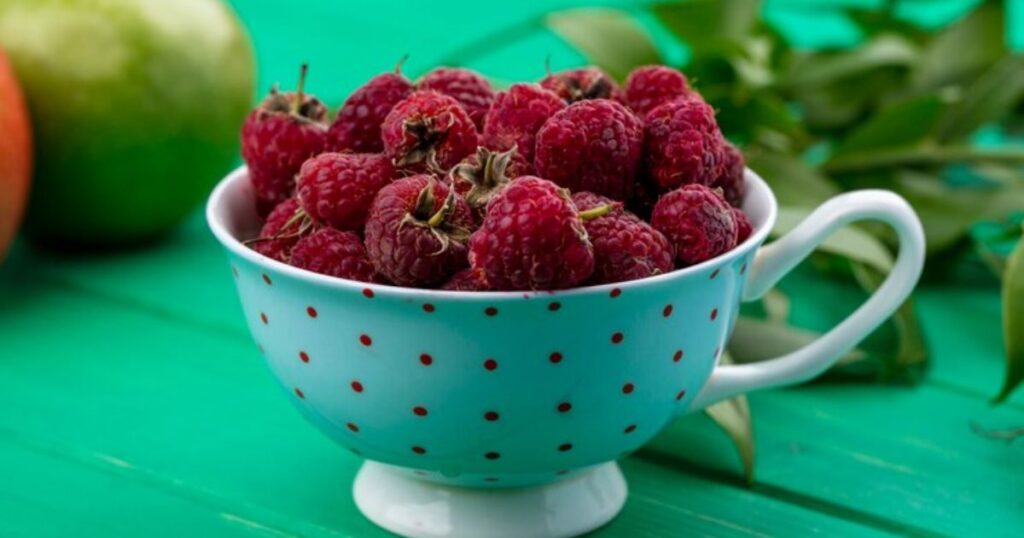  Berry One-Liners That Are Un-berry-lievable!