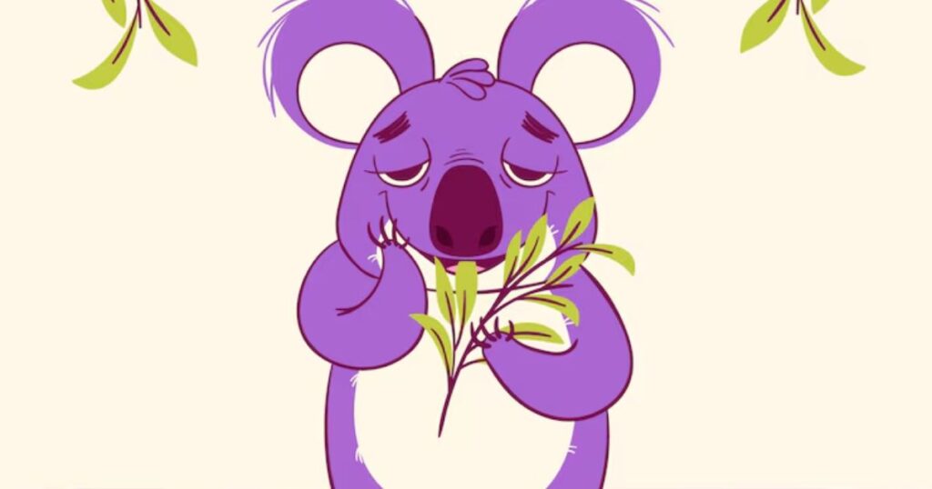 Koala puns one-liners