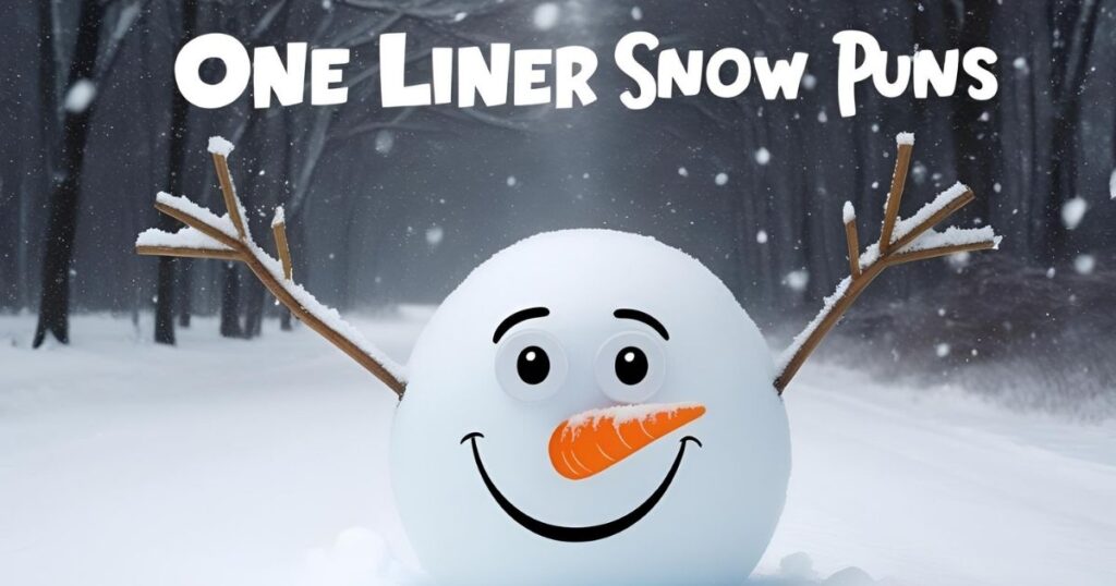 One Liner Snow Puns