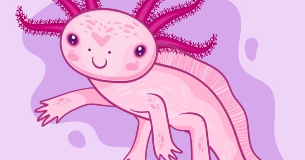 Pun-tastic Axolotl Names That Will Make You Smile-ander