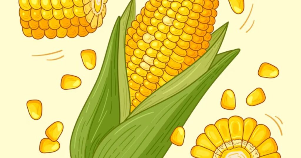 Short One Liner Corn Puns