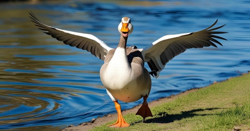 Silly And Funny Goose Puns