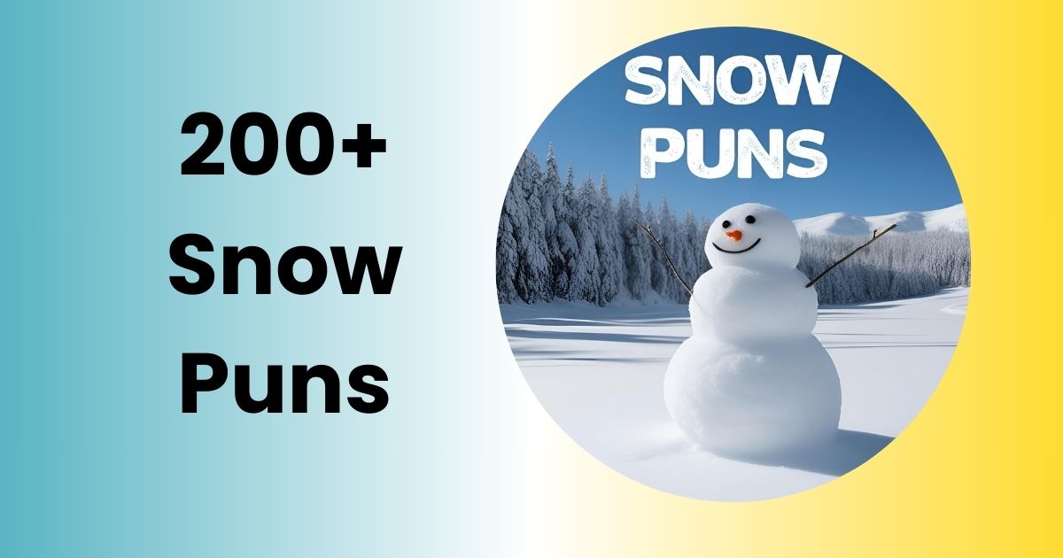 Snow Puns