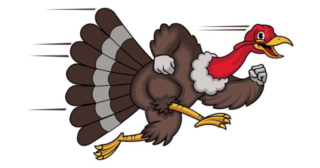 Turkey Trot Puns