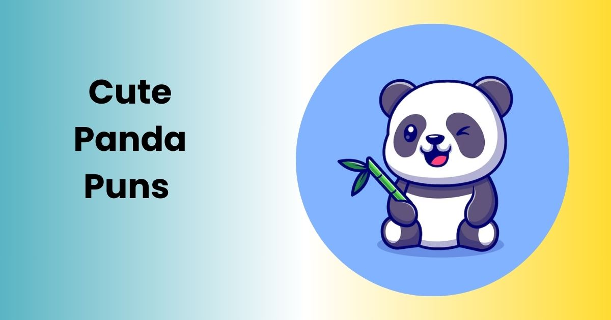 Cute Panda Puns