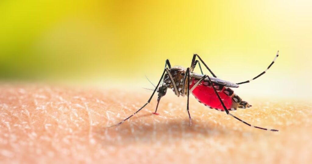 Mosquito puns one-liners