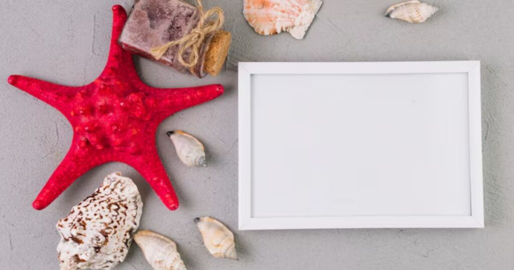 Shell puns for captions